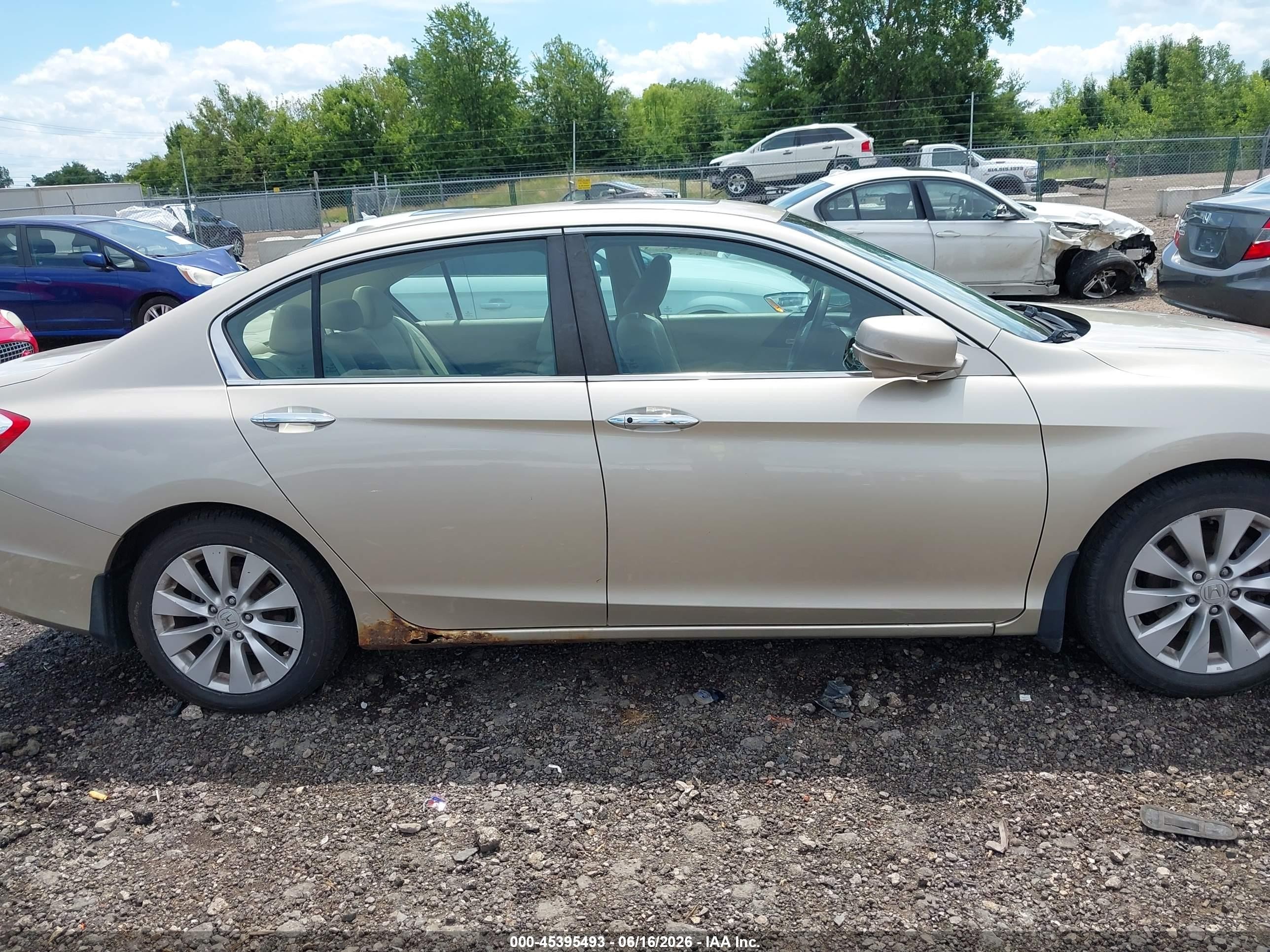 2013 Honda Accord Ex-l Champagne vin: 1HGCR2F86DA188147