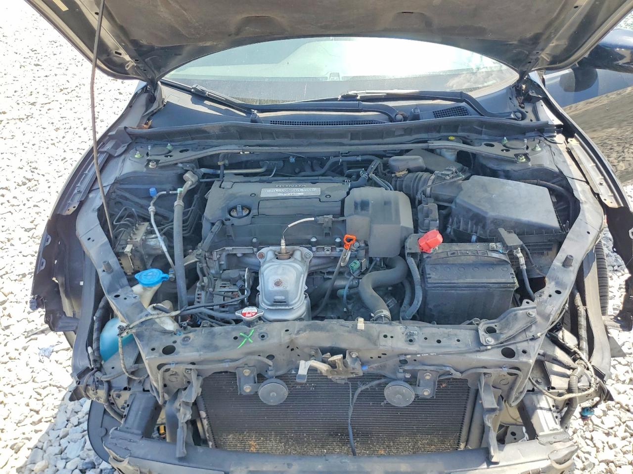 2013 Honda Accord Exl Черный vin: 1HGCR2F86DA264658