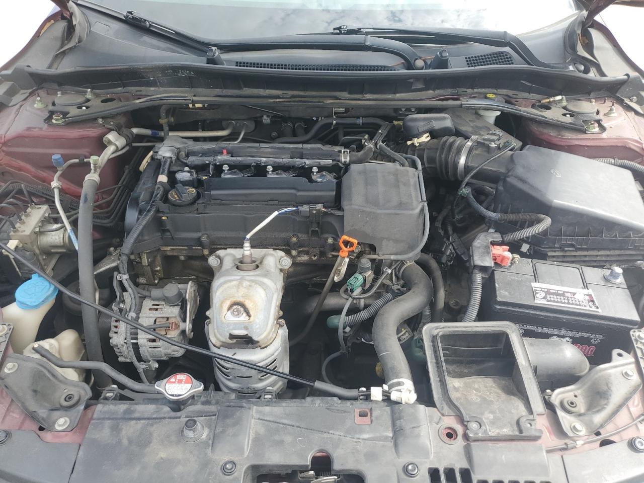 2014 Honda Accord Exl Maroon vin: 1HGCR2F86EA131058