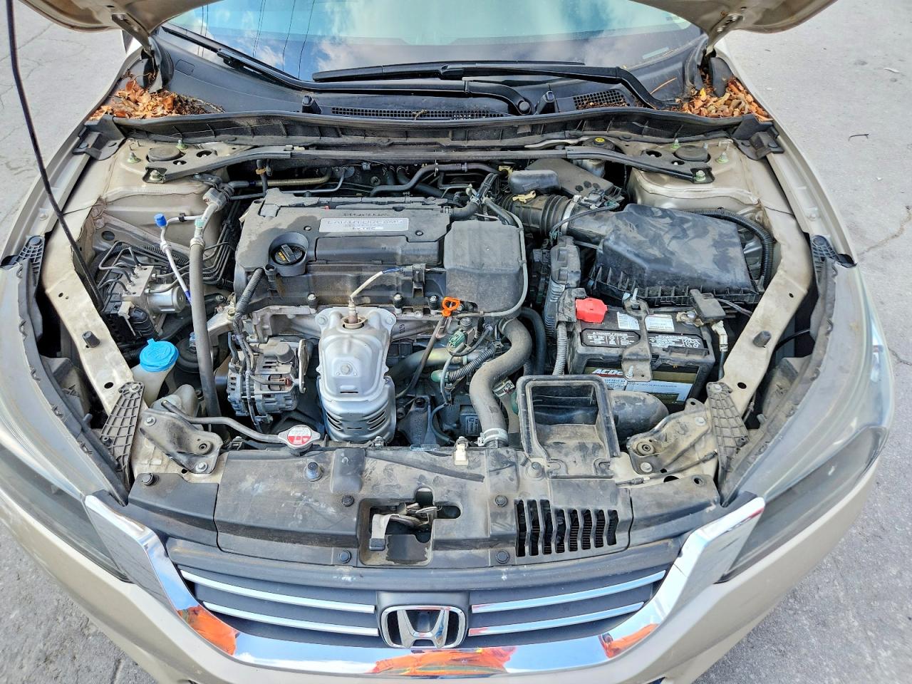 2015 Honda Accord Exl Beige vin: 1HGCR2F86FA139209