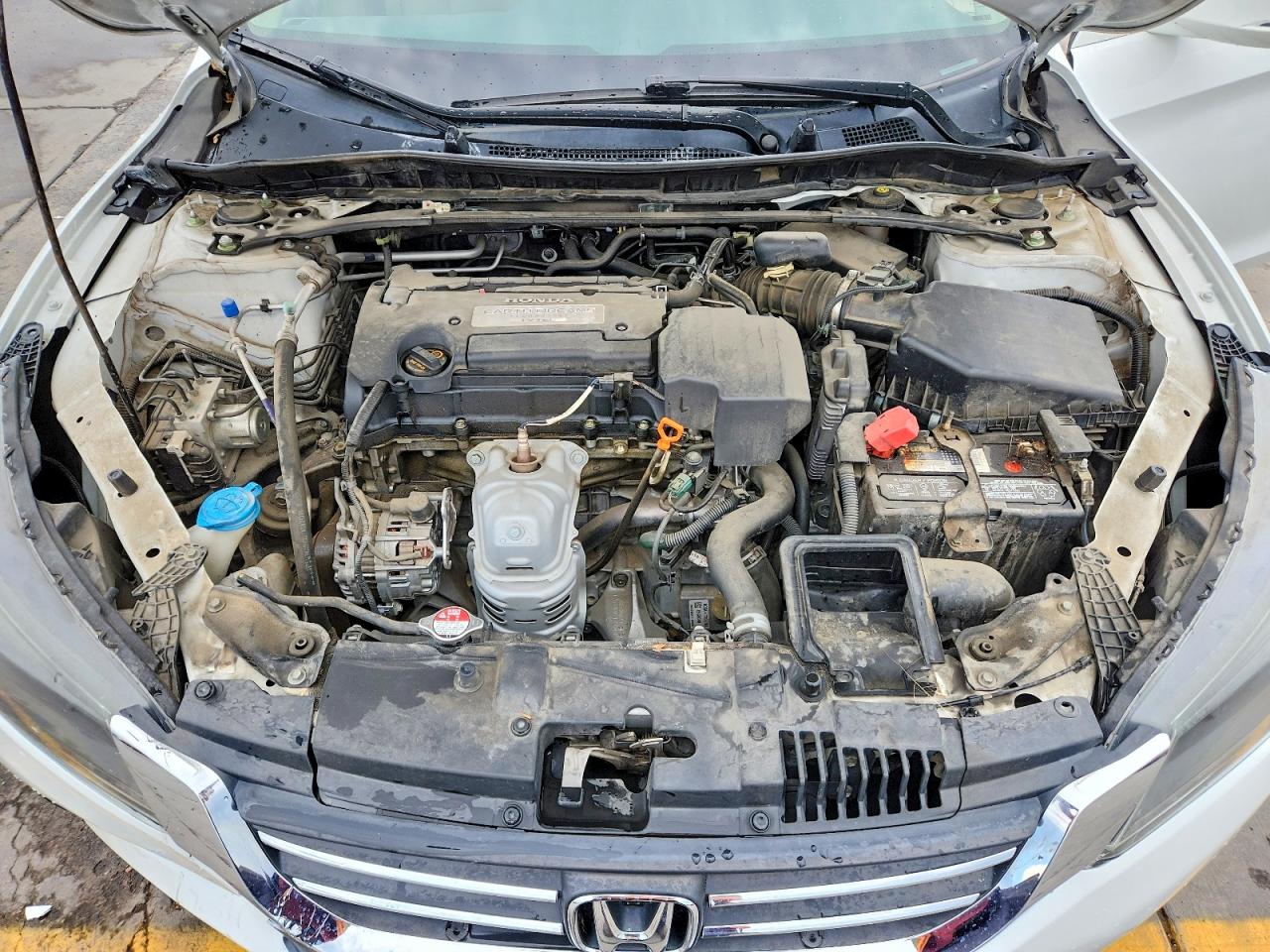 2013 Honda Accord Exl White vin: 1HGCR2F87DA060113