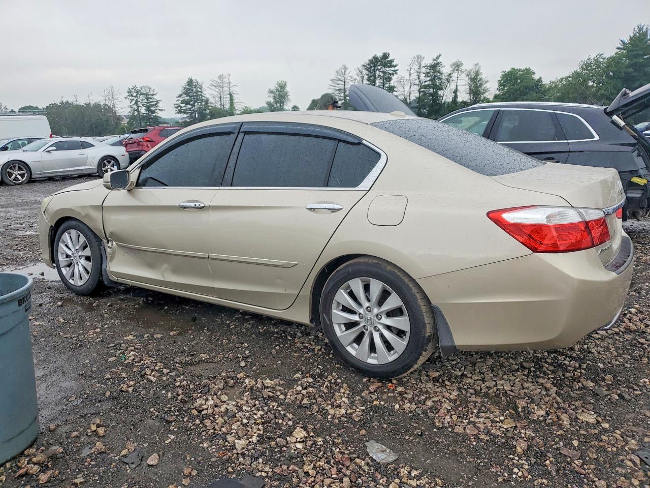 2013 Honda Accord Exl Beige vin: 1HGCR2F87DA157232