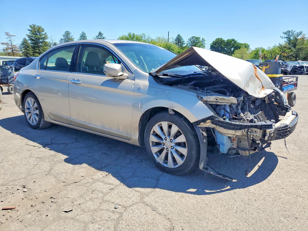2013 Honda Accord Exl Beige vin: 1HGCR2F87DA169509