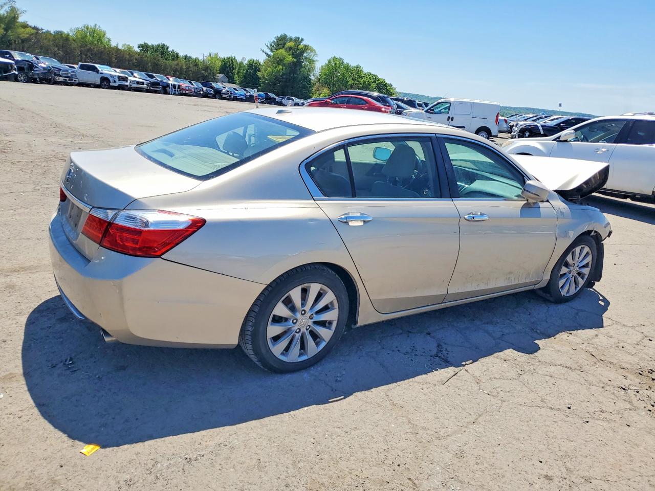 2013 Honda Accord Exl Beige vin: 1HGCR2F87DA169509