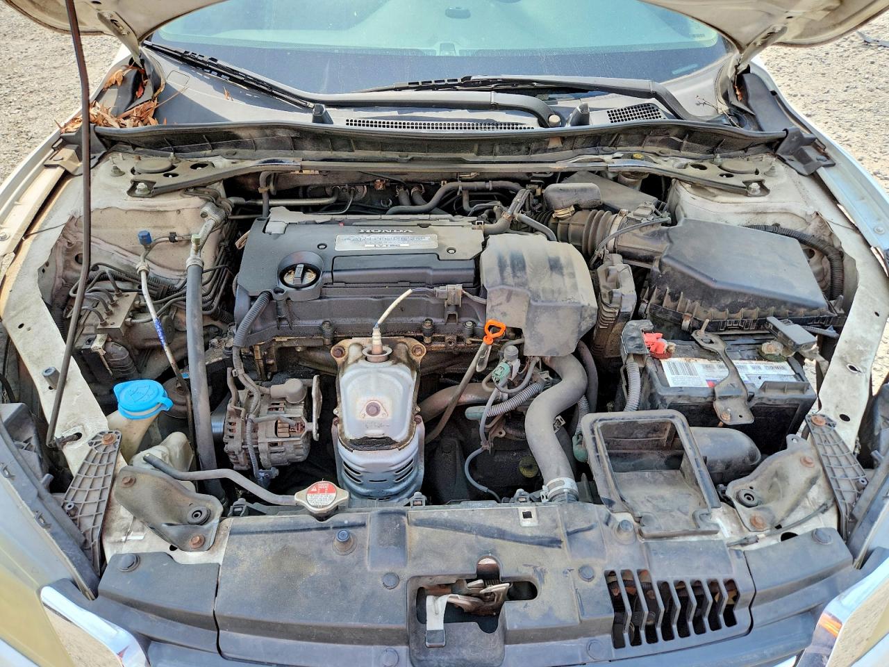2013 Honda Accord Exl Белый vin: 1HGCR2F87DA209023