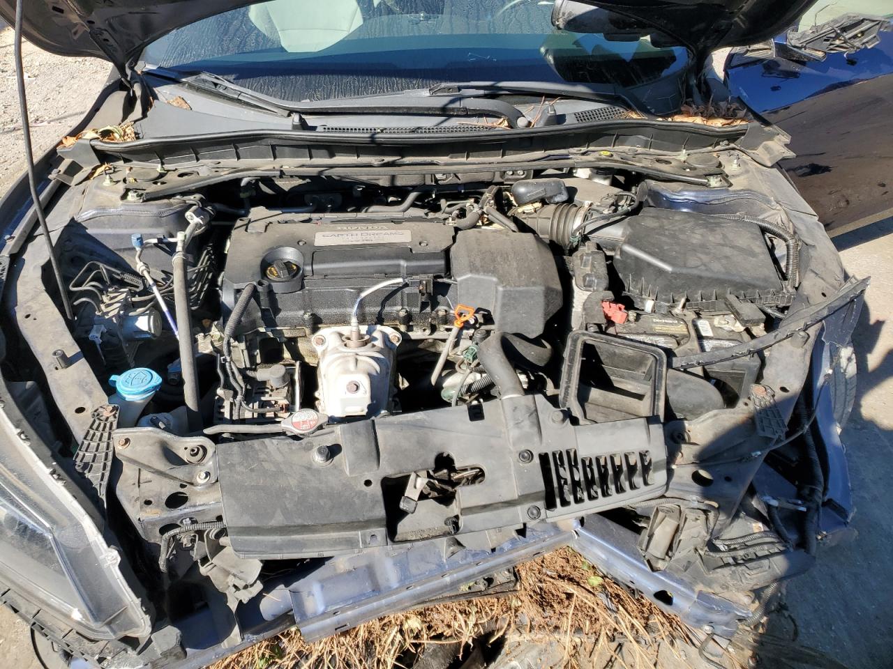 2013 Honda Accord Exl Blue vin: 1HGCR2F87DA210415