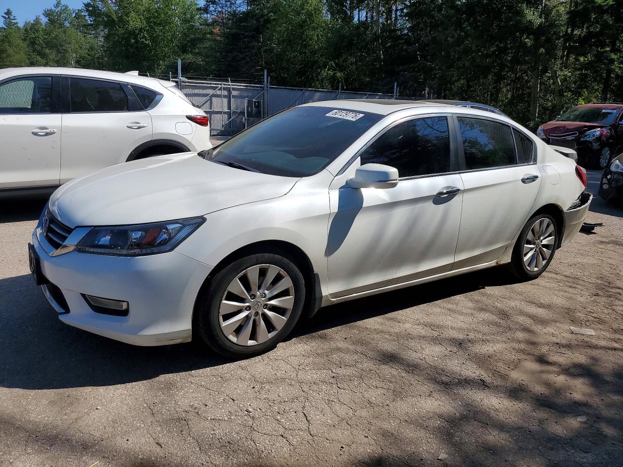 2013 Honda Accord Exl White vin: 1HGCR2F87DA800789