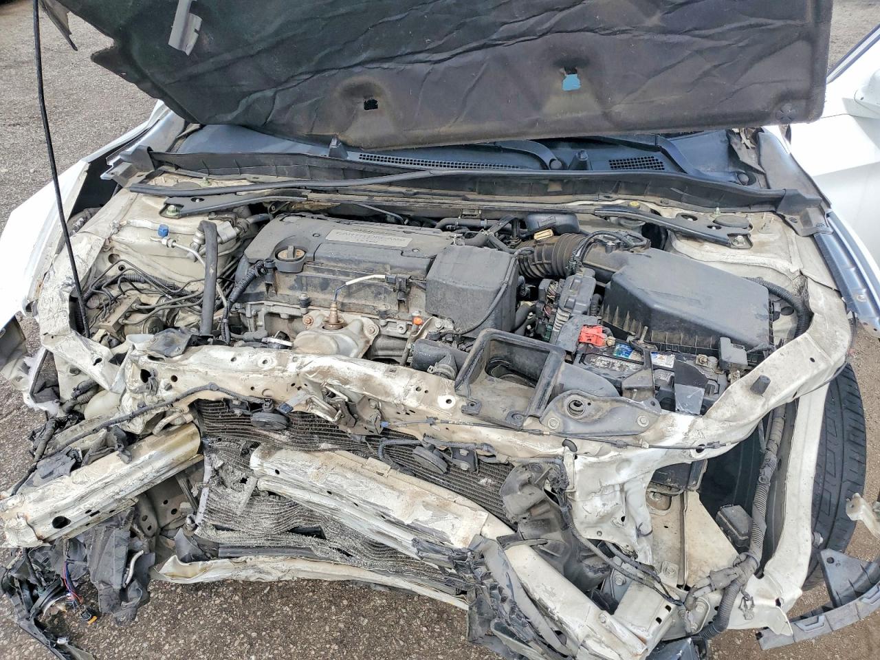 2014 Honda Accord Exl White vin: 1HGCR2F87EA077267