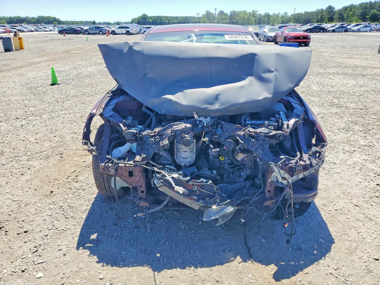 2014 Honda Accord Exl Бордовый vin: 1HGCR2F87EA101910