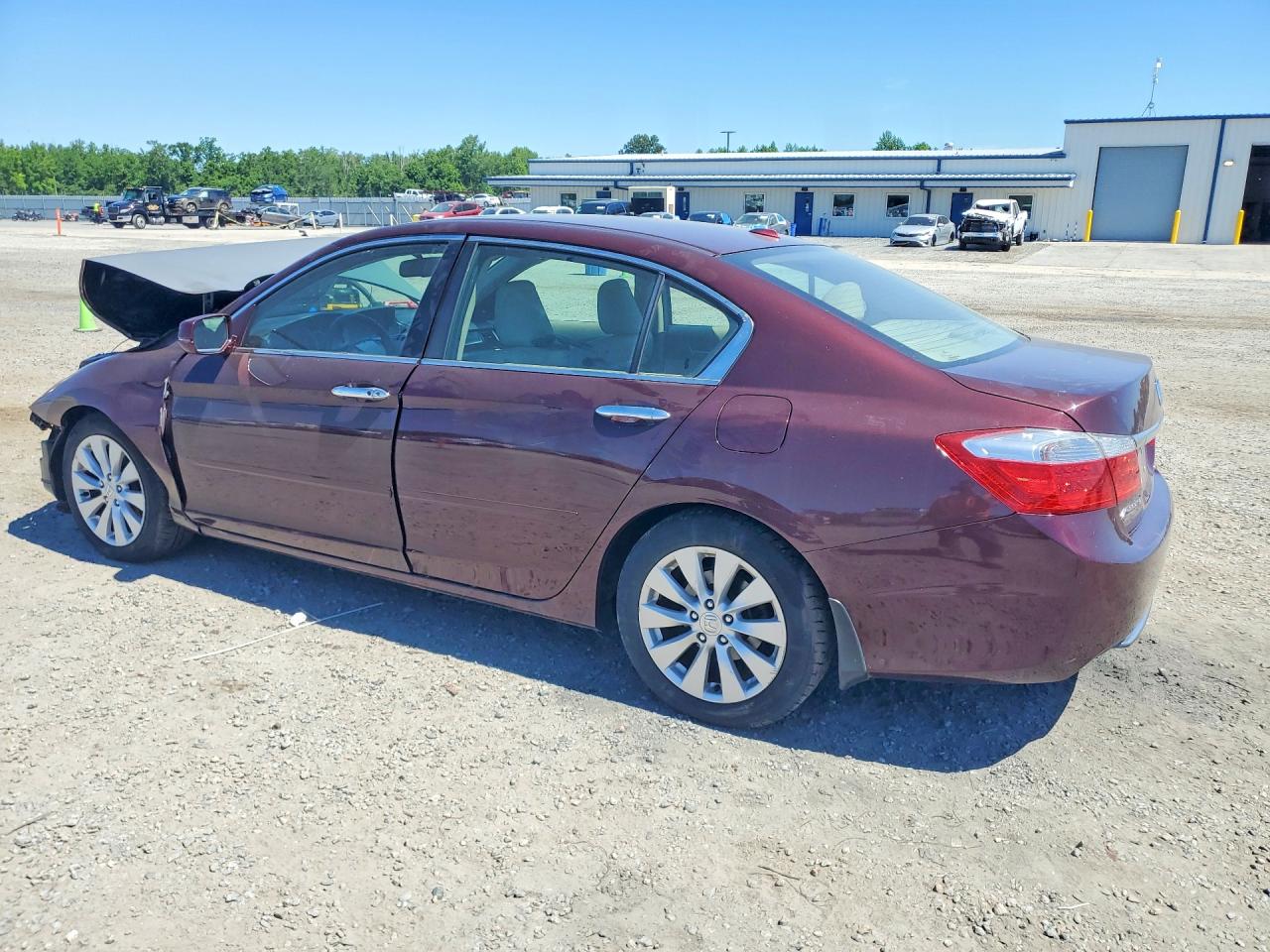 2014 Honda Accord Exl Бордовый vin: 1HGCR2F87EA101910