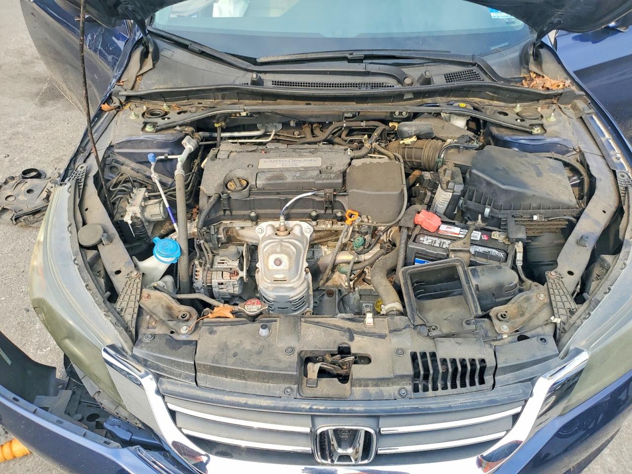 2014 Honda Accord Exl Blue vin: 1HGCR2F87EA205202