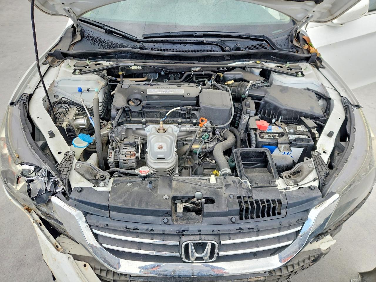 2015 Honda Accord Exl White vin: 1HGCR2F87FA028247