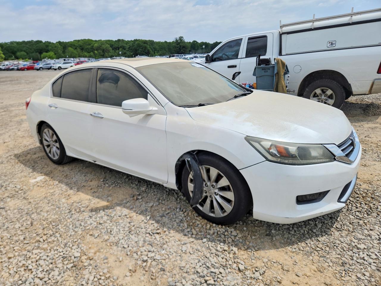 2015 Honda Accord Exl White vin: 1HGCR2F87FA141986