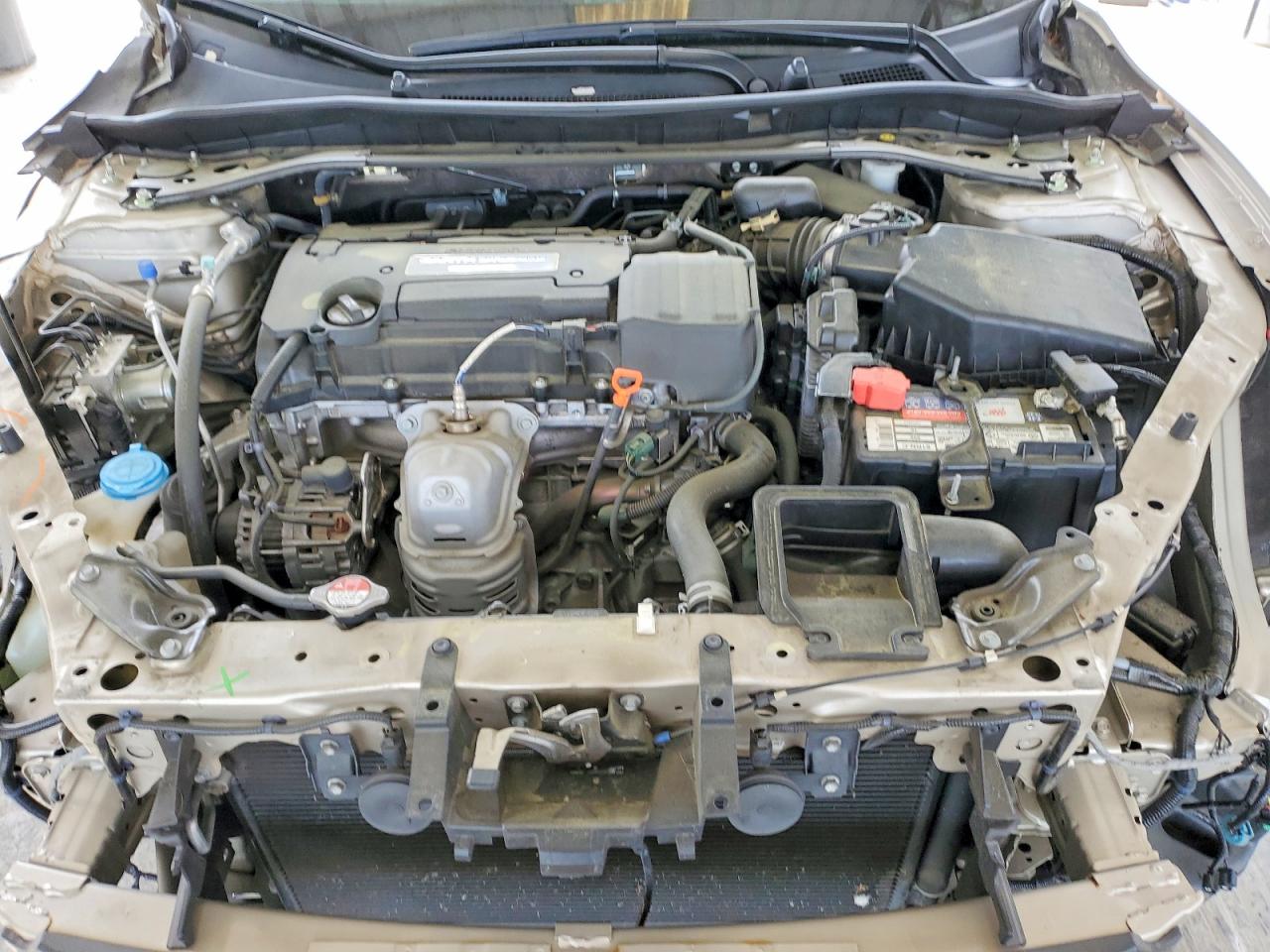 2015 Honda Accord Exl Cream vin: 1HGCR2F87FA143530