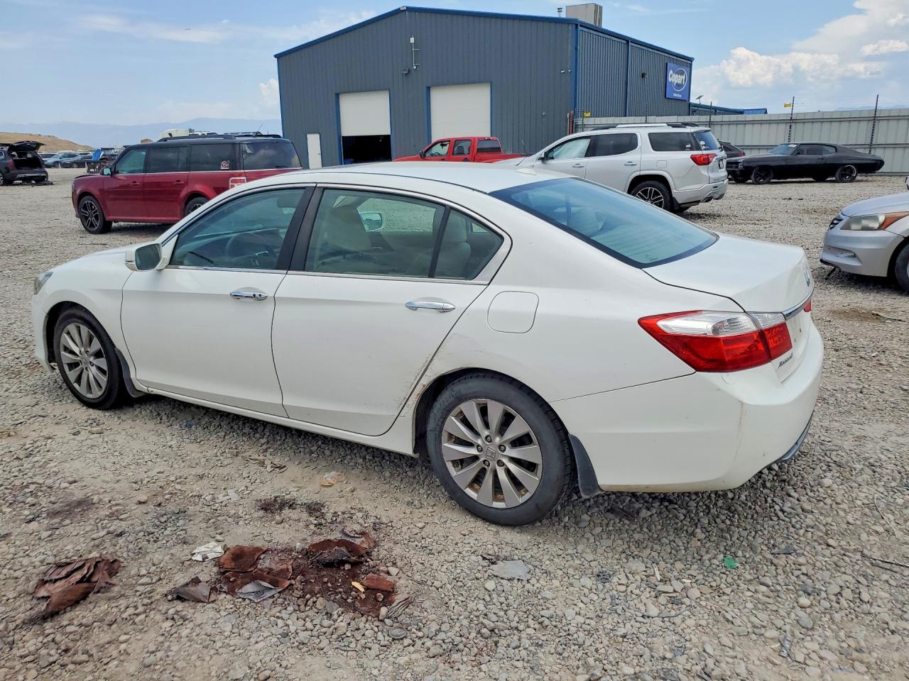 2015 Honda Accord Exl Белый vin: 1HGCR2F87FA241151