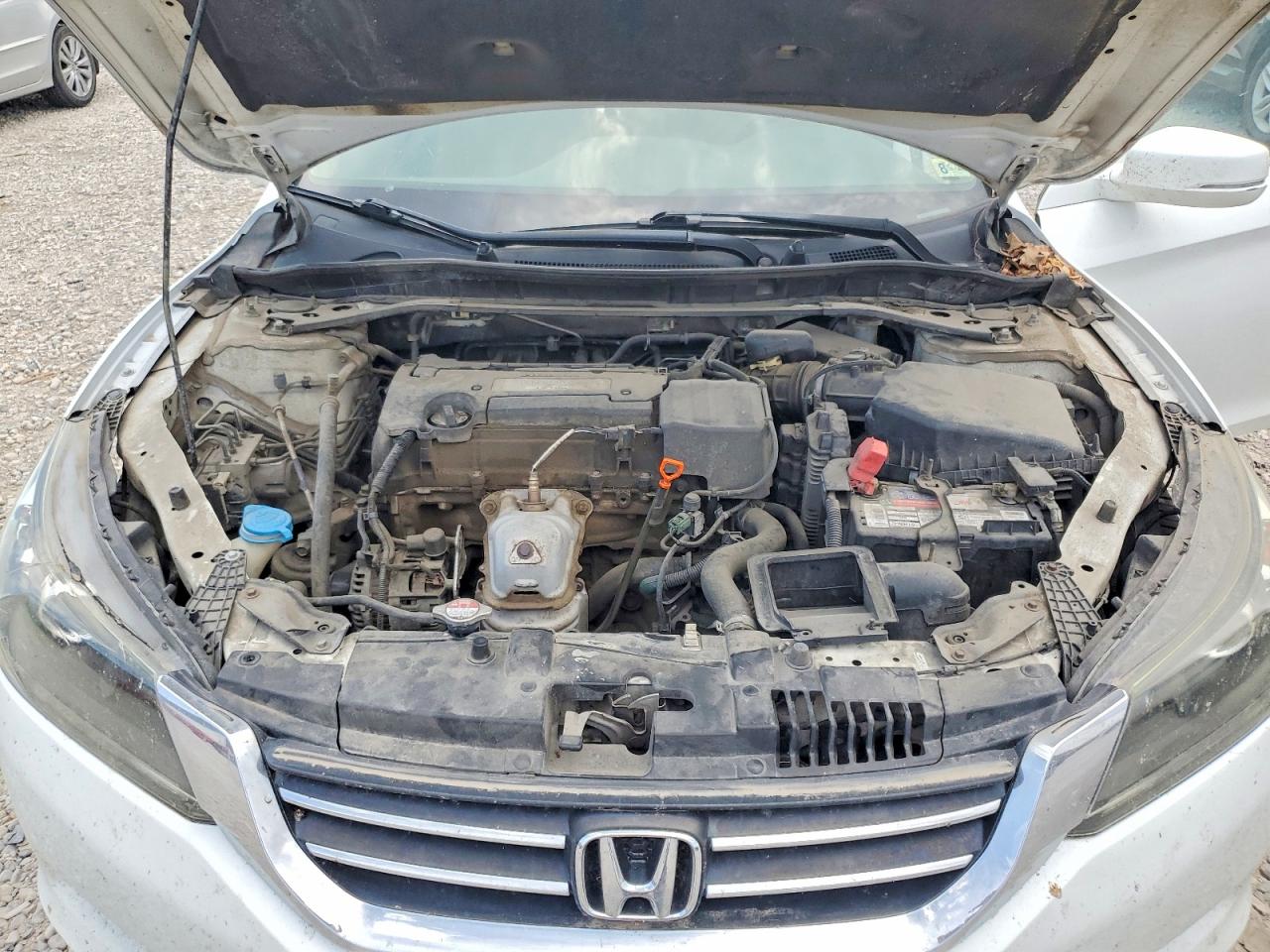 2015 Honda Accord Exl Белый vin: 1HGCR2F87FA241151