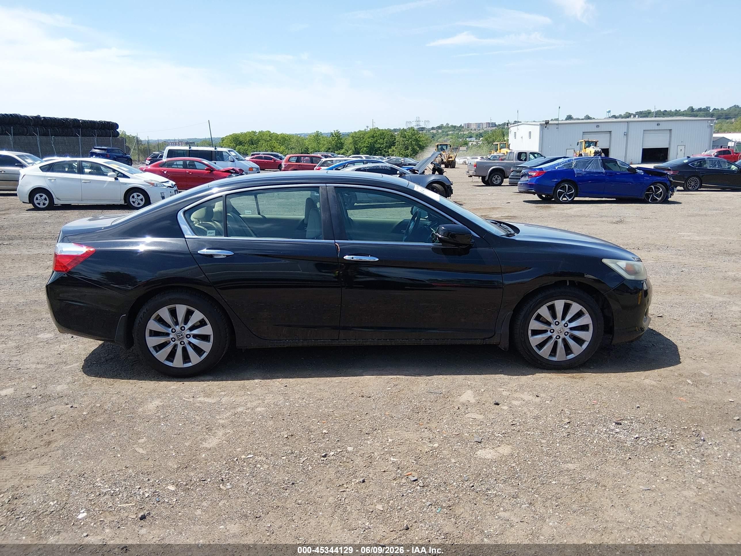 2013 Honda Accord Ex-l Black vin: 1HGCR2F88DA163489