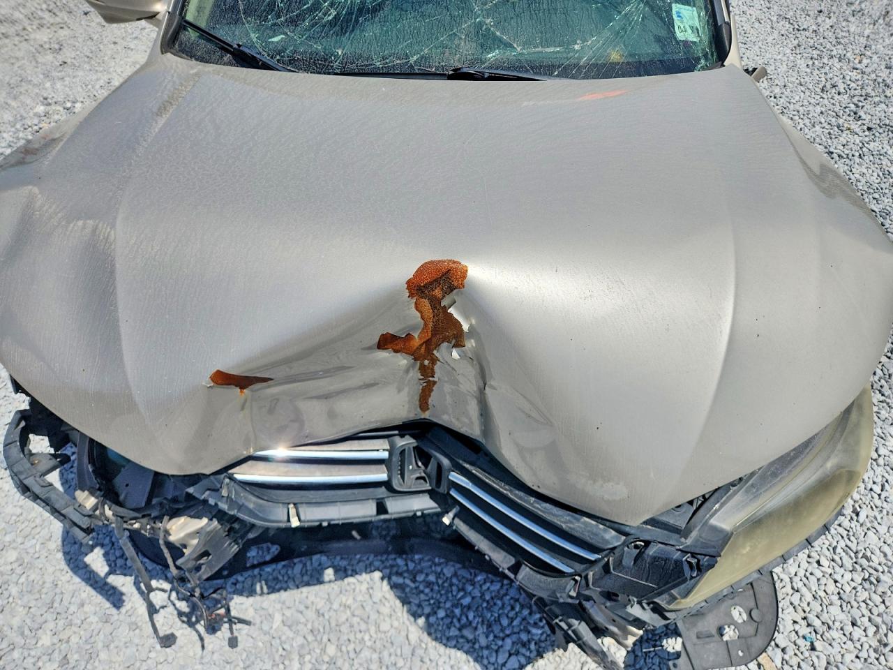2015 Honda Accord Exl Gold vin: 1HGCR2F88FA111475