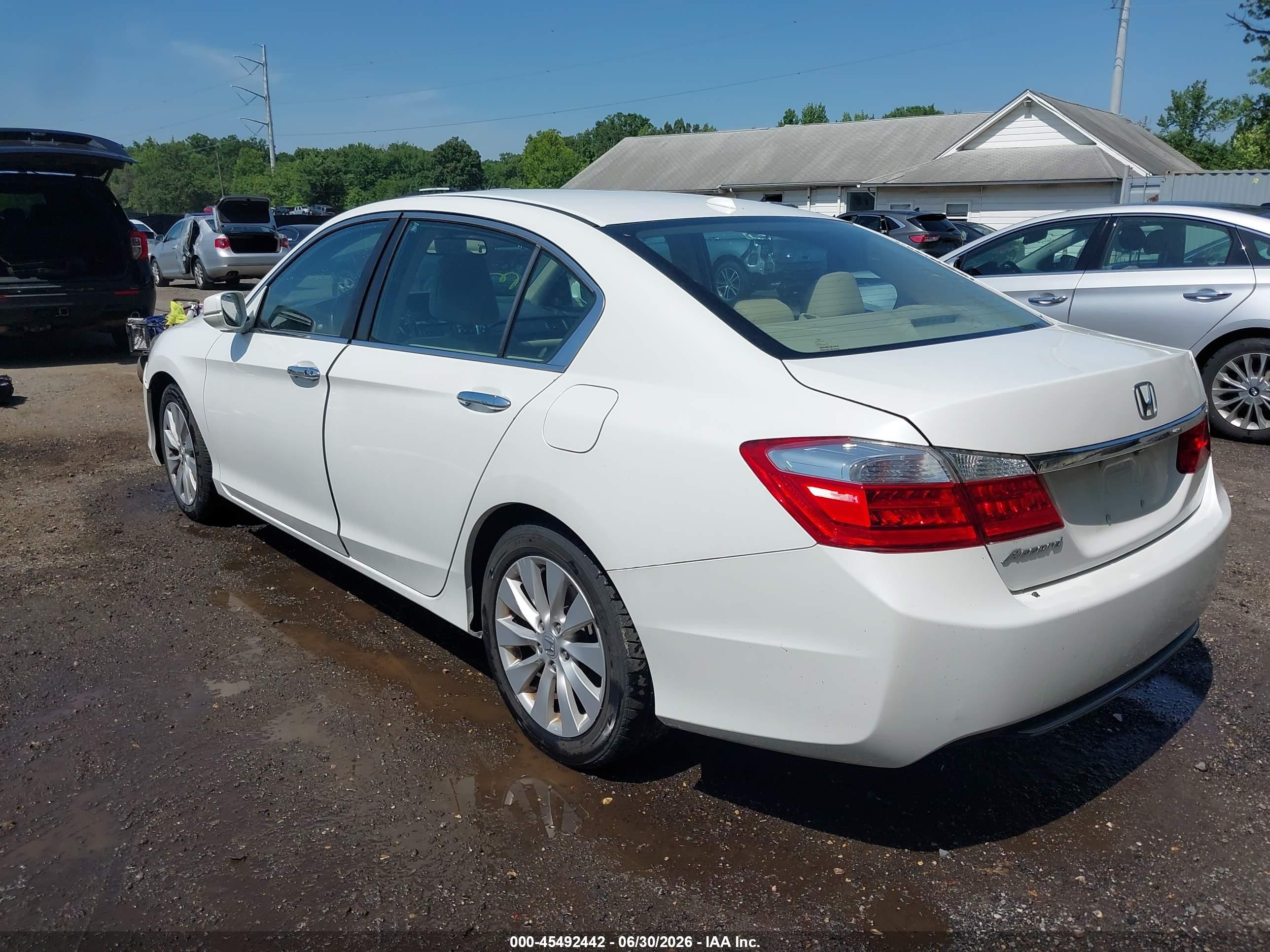 2015 Honda Accord Ex-l Белый vin: 1HGCR2F88FA140393