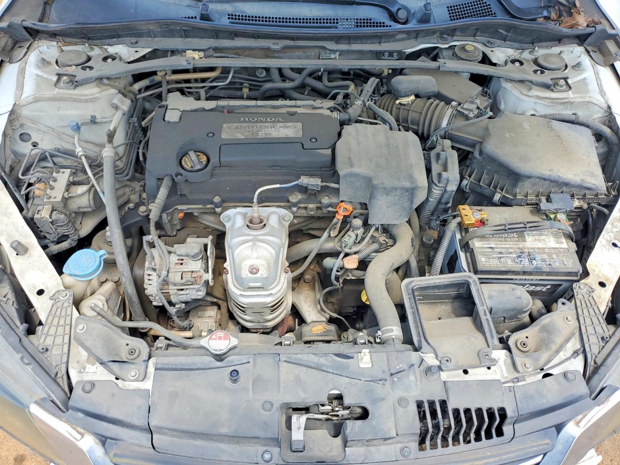 2013 Honda Accord Exl White vin: 1HGCR2F89DA002570