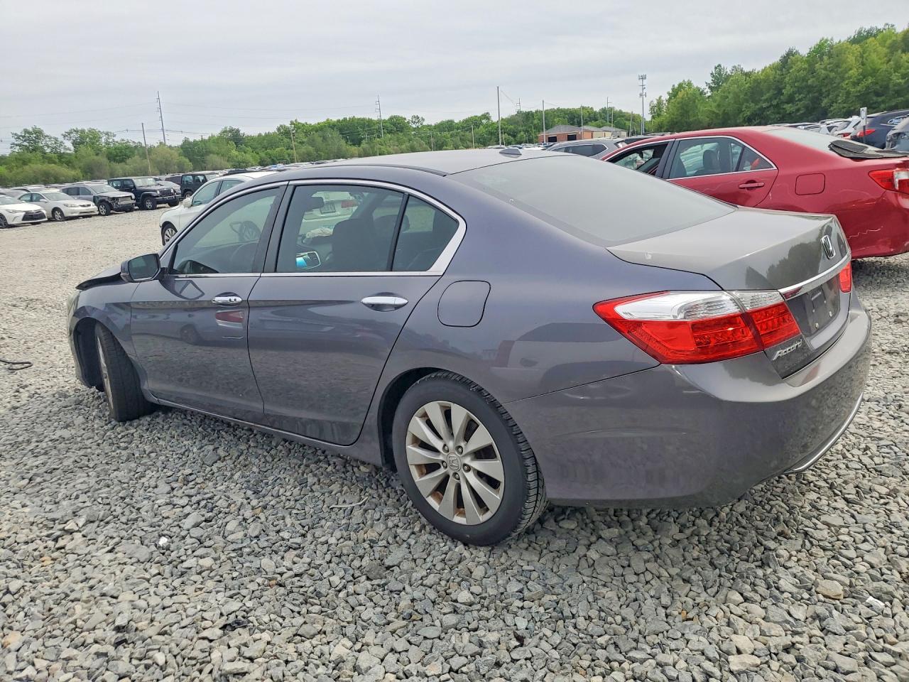 2013 Honda Accord Exl Серый vin: 1HGCR2F89DA083814