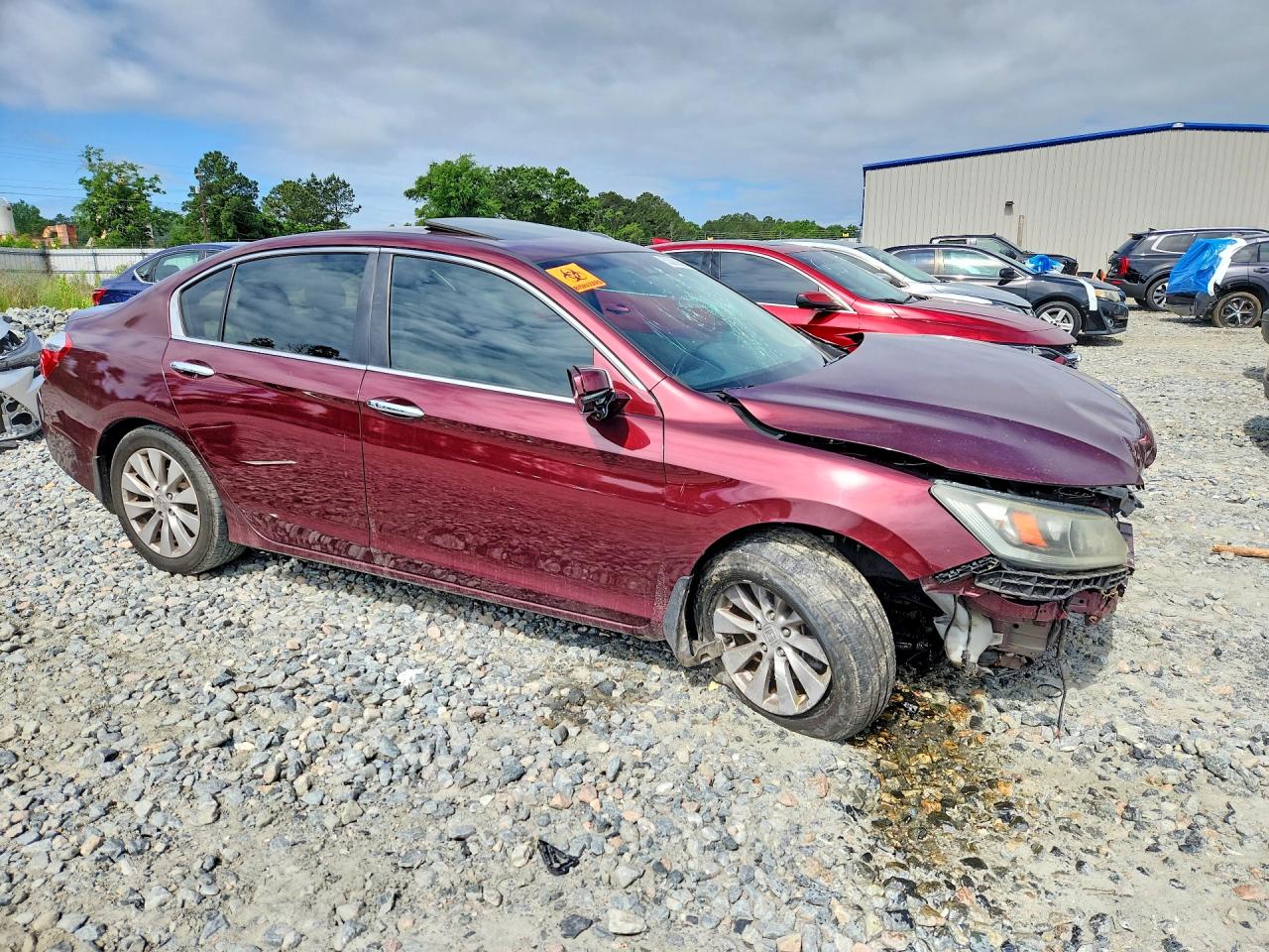 2013 Honda Accord Exl Бордовый vin: 1HGCR2F89DA115564
