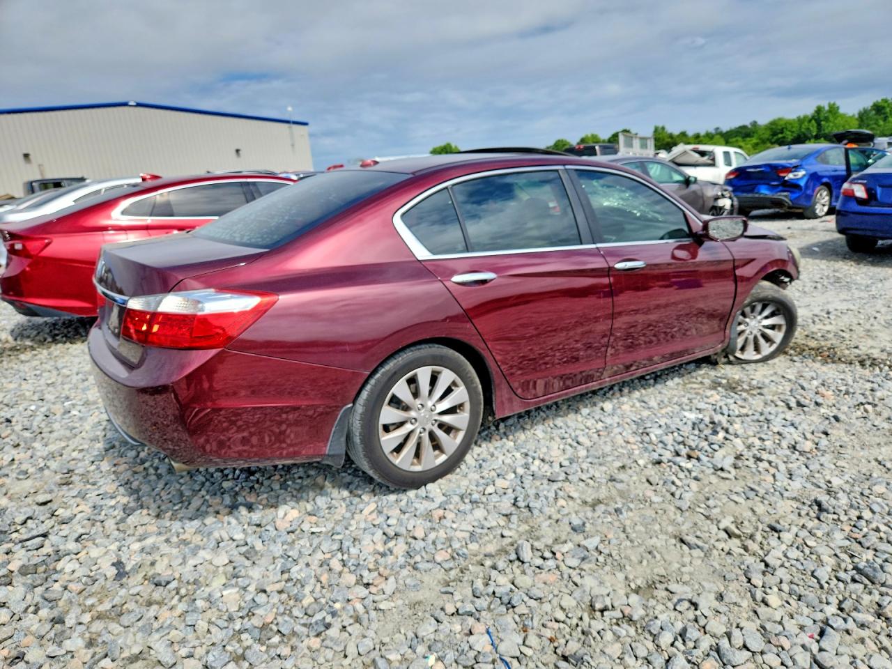 2013 Honda Accord Exl Бордовый vin: 1HGCR2F89DA115564