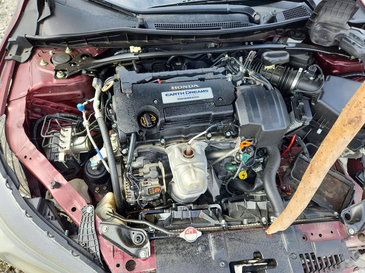 2013 Honda Accord Exl Бордовый vin: 1HGCR2F89DA115564