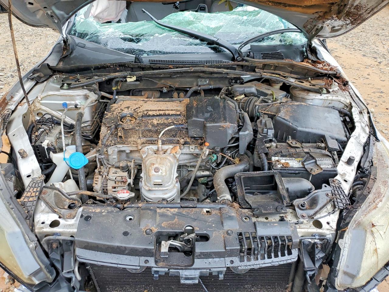 2013 Honda Accord Exl Silver vin: 1HGCR2F89DA131148