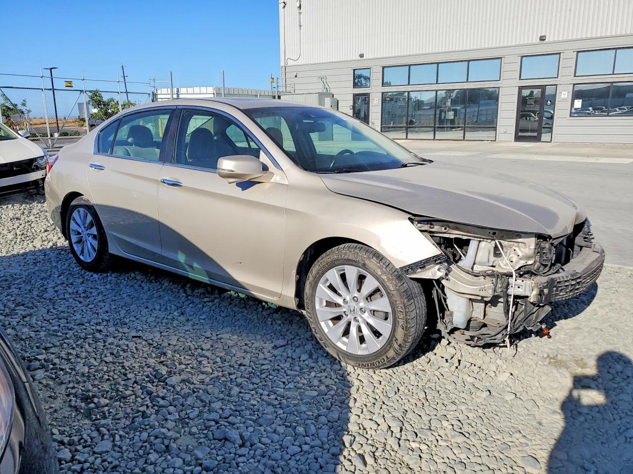 2014 Honda Accord Exl Tan vin: 1HGCR2F89EA104825