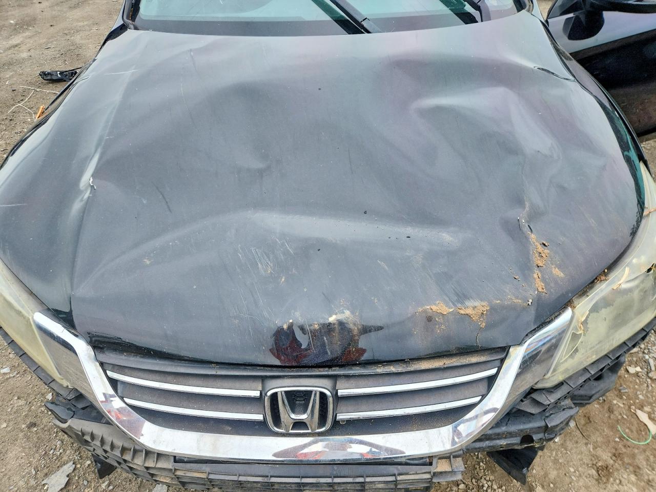 2014 Honda Accord Exl Черный vin: 1HGCR2F89EA161820