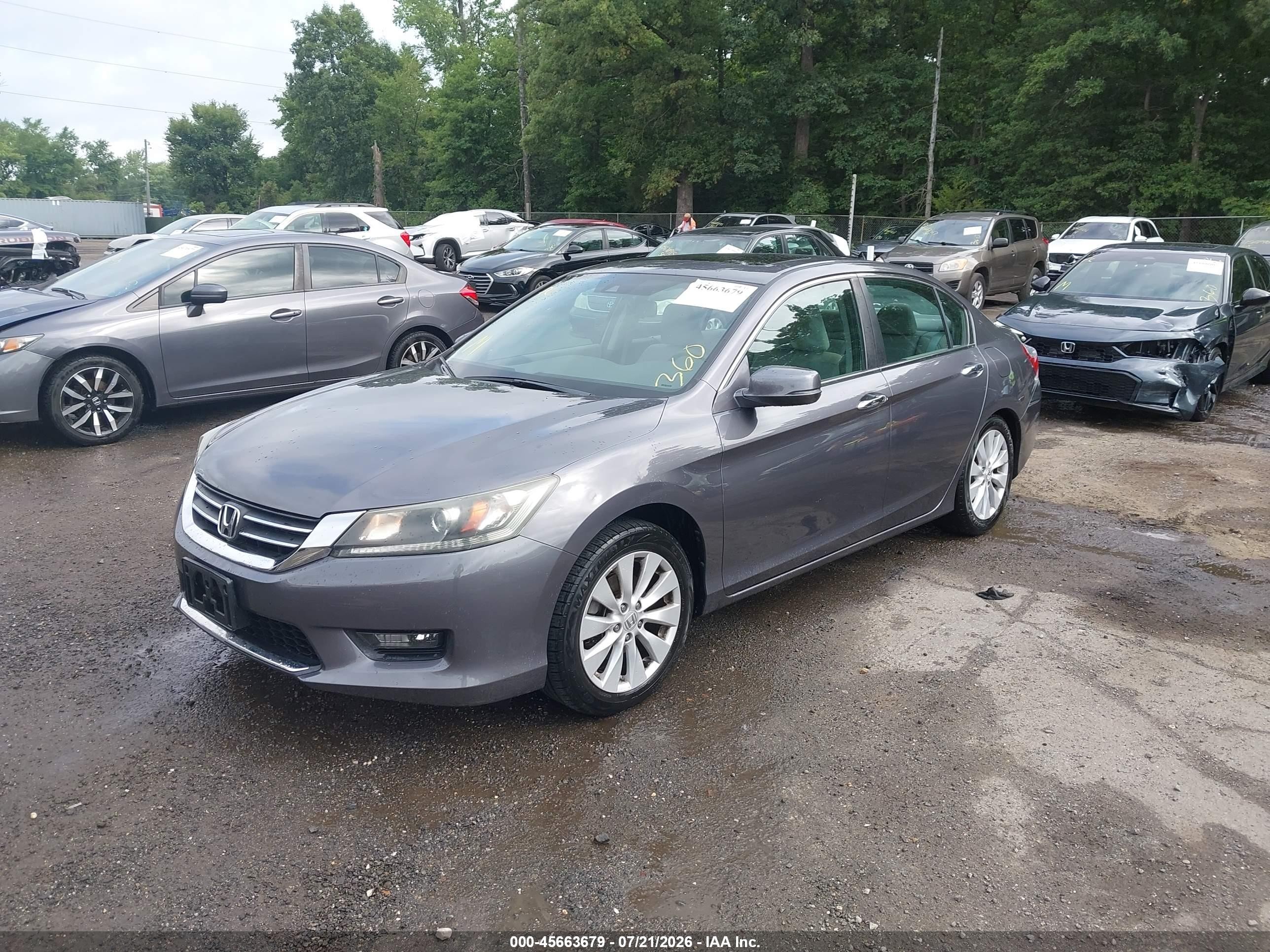 2015 Honda Accord Ex-l Серый vin: 1HGCR2F89FA033384