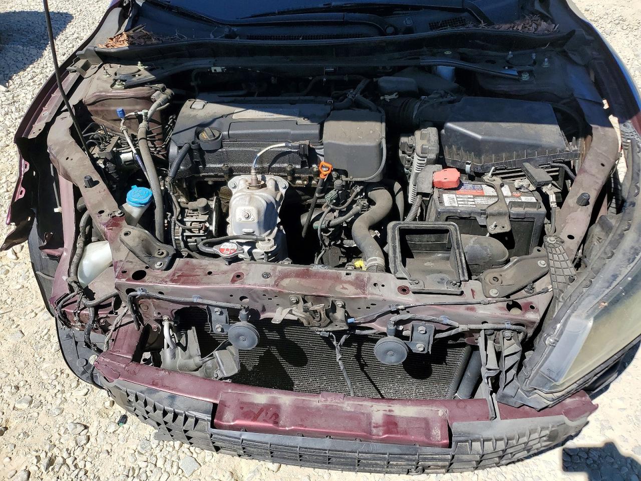 2015 Honda Accord Exl Burgundy vin: 1HGCR2F89FA052095