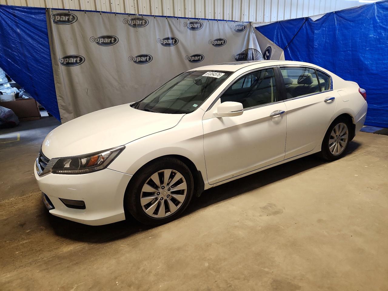 2015 Honda Accord Exl White vin: 1HGCR2F89FA151578
