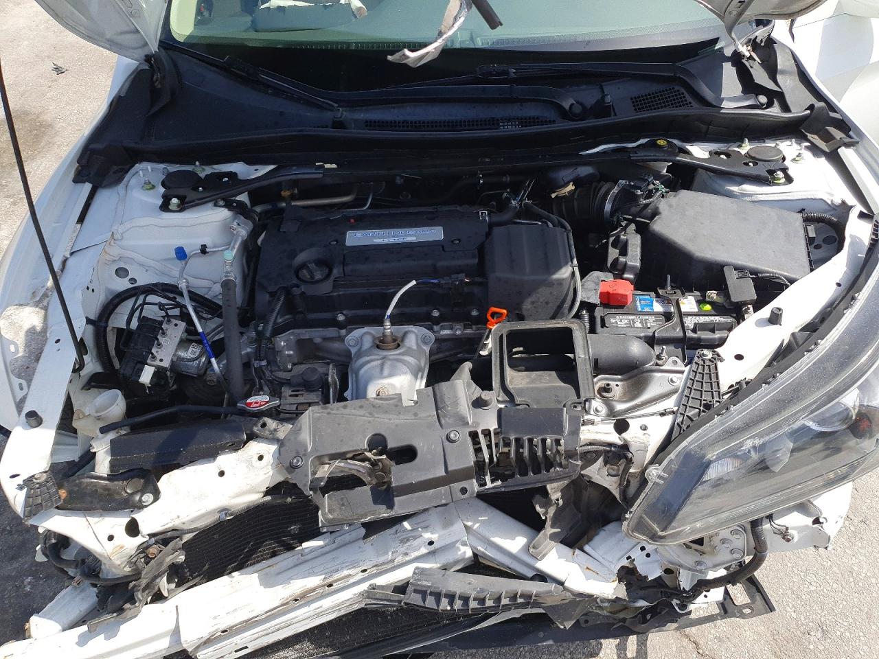 2015 Honda Accord Exl Белый vin: 1HGCR2F89FA179848