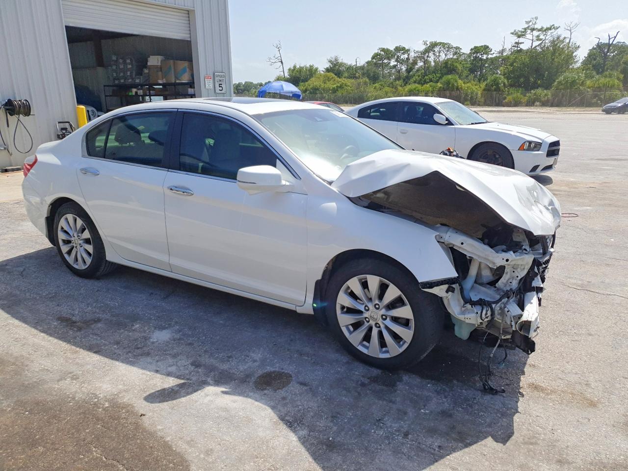 2015 Honda Accord Exl Белый vin: 1HGCR2F89FA179848