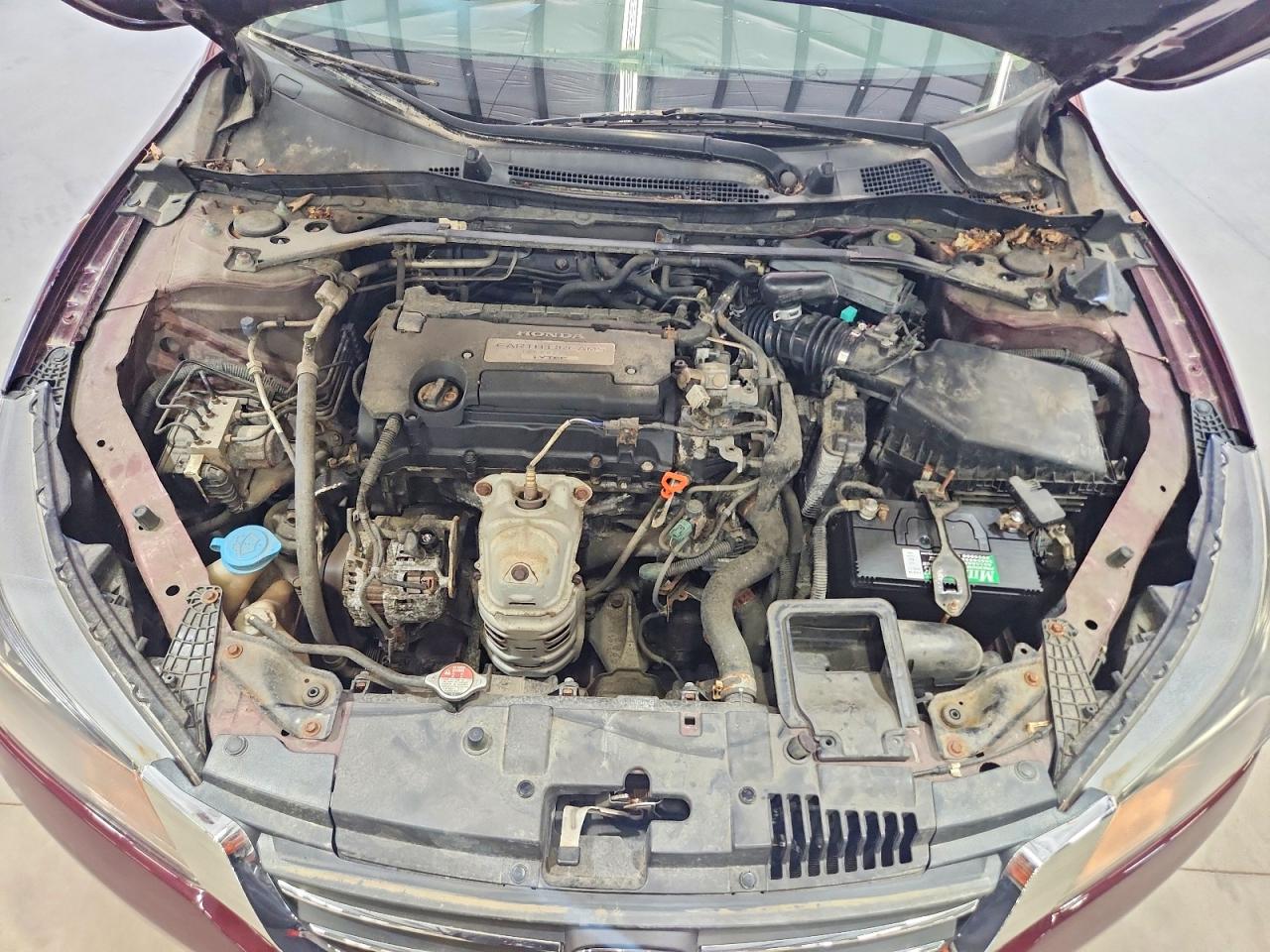 2013 Honda Accord Exl Темно-бордовый vin: 1HGCR2F8XDA137721