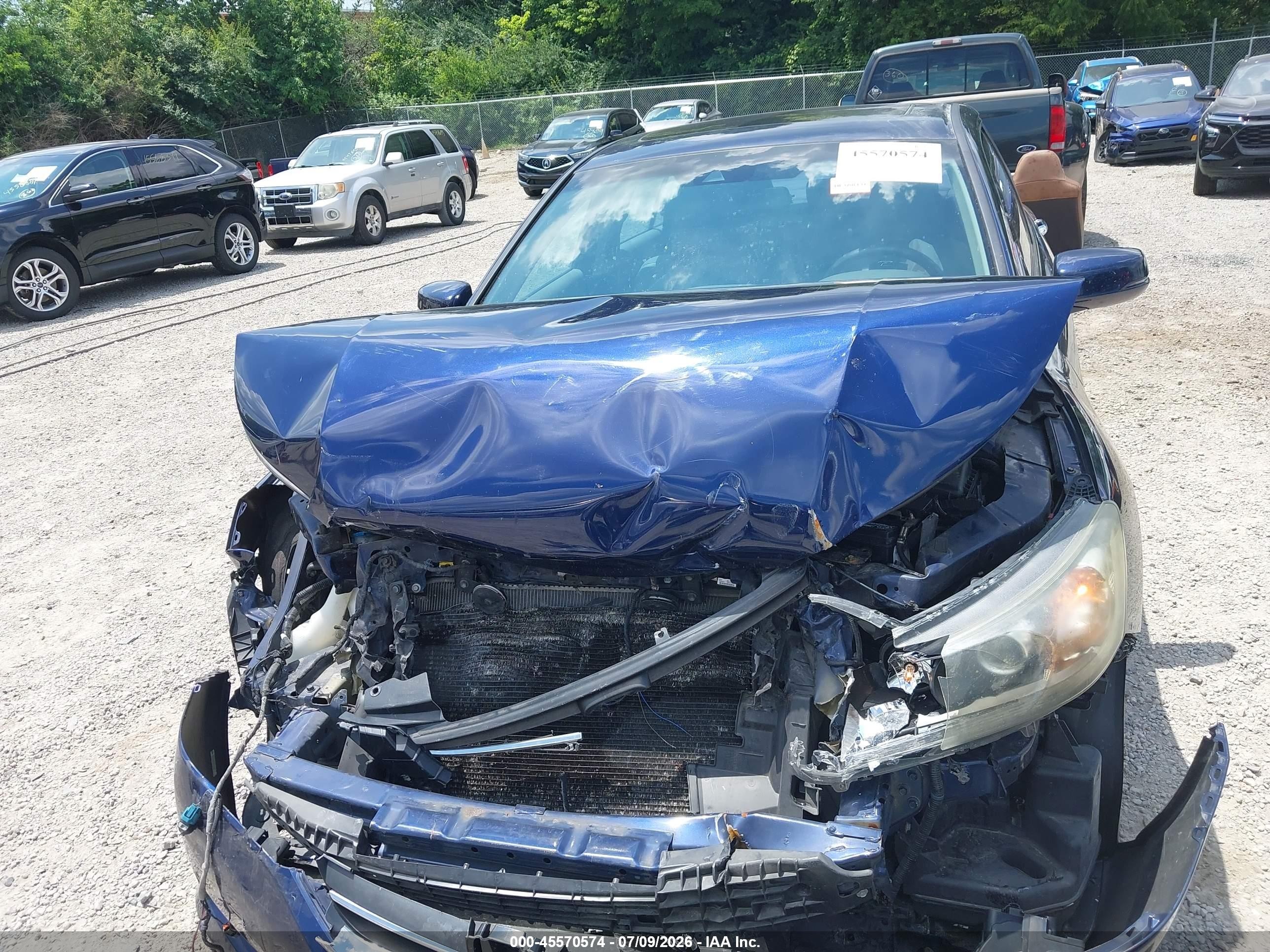 2013 Honda Accord Ex-l Blue vin: 1HGCR2F8XDA138559