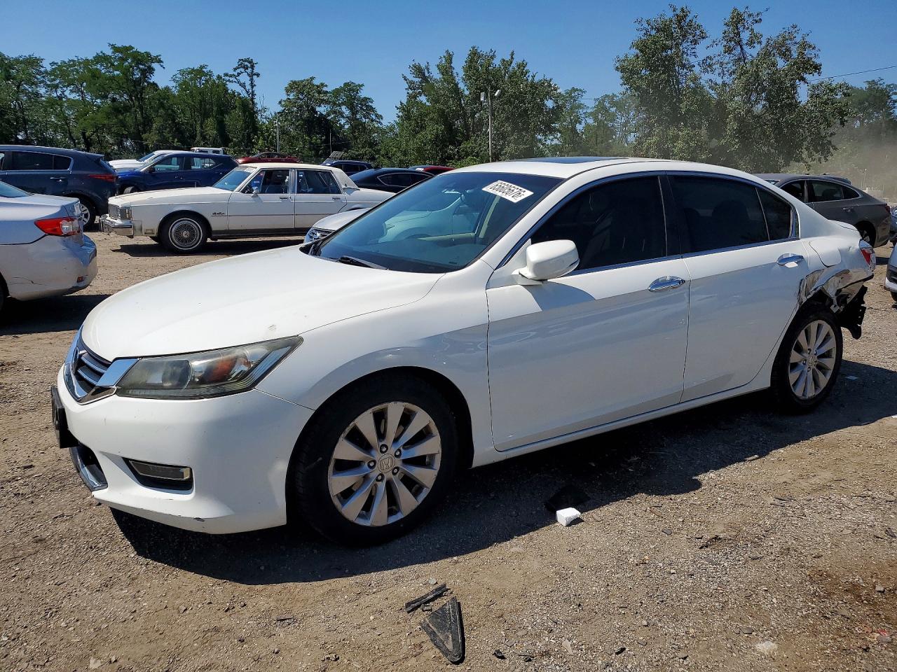 2013 Honda Accord Exl White vin: 1HGCR2F8XDA253324
