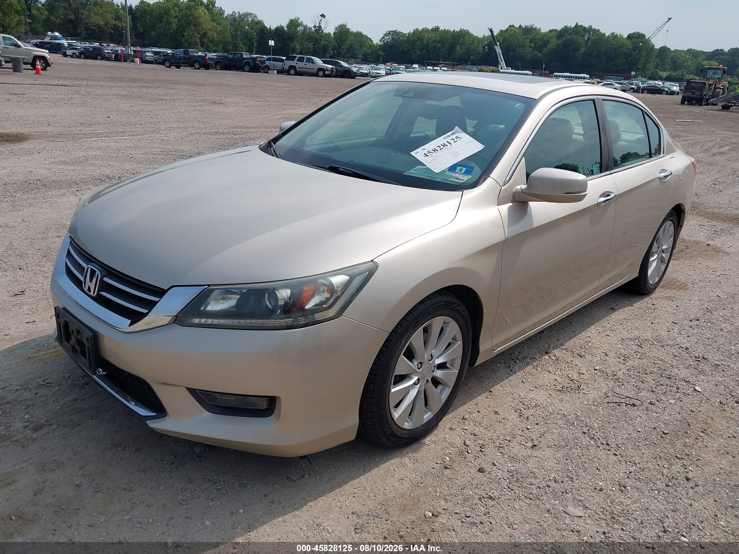 2014 Honda Accord Ex-l Champagne vin: 1HGCR2F8XEA141902