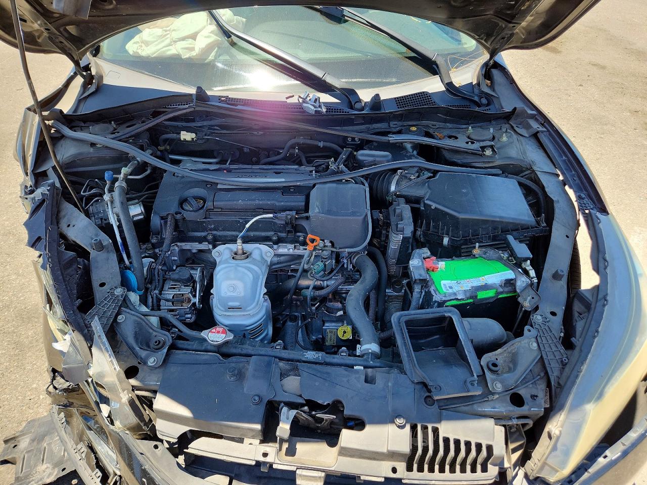 2014 Honda Accord Exl Black vin: 1HGCR2F8XEA177802
