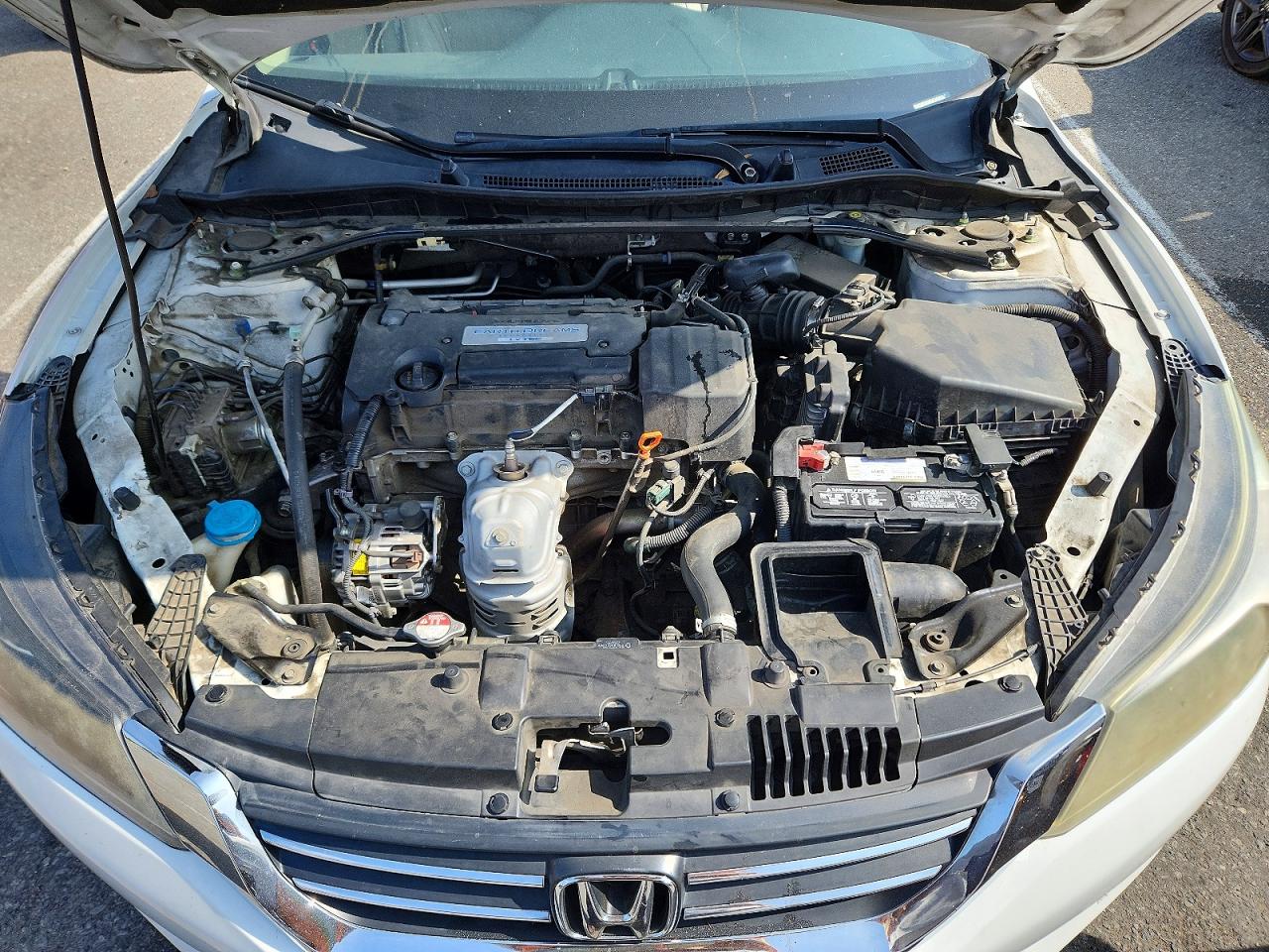 2015 Hond Accord White vin: 1HGCR2F8XFA244237