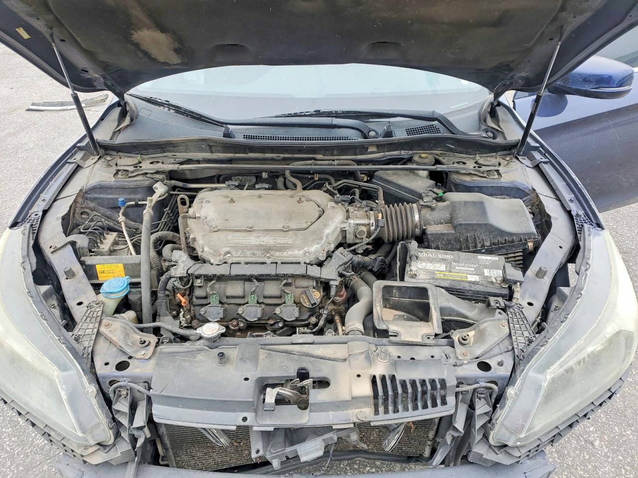 2013 Honda Accord Exl Blue vin: 1HGCR3F80DA020574