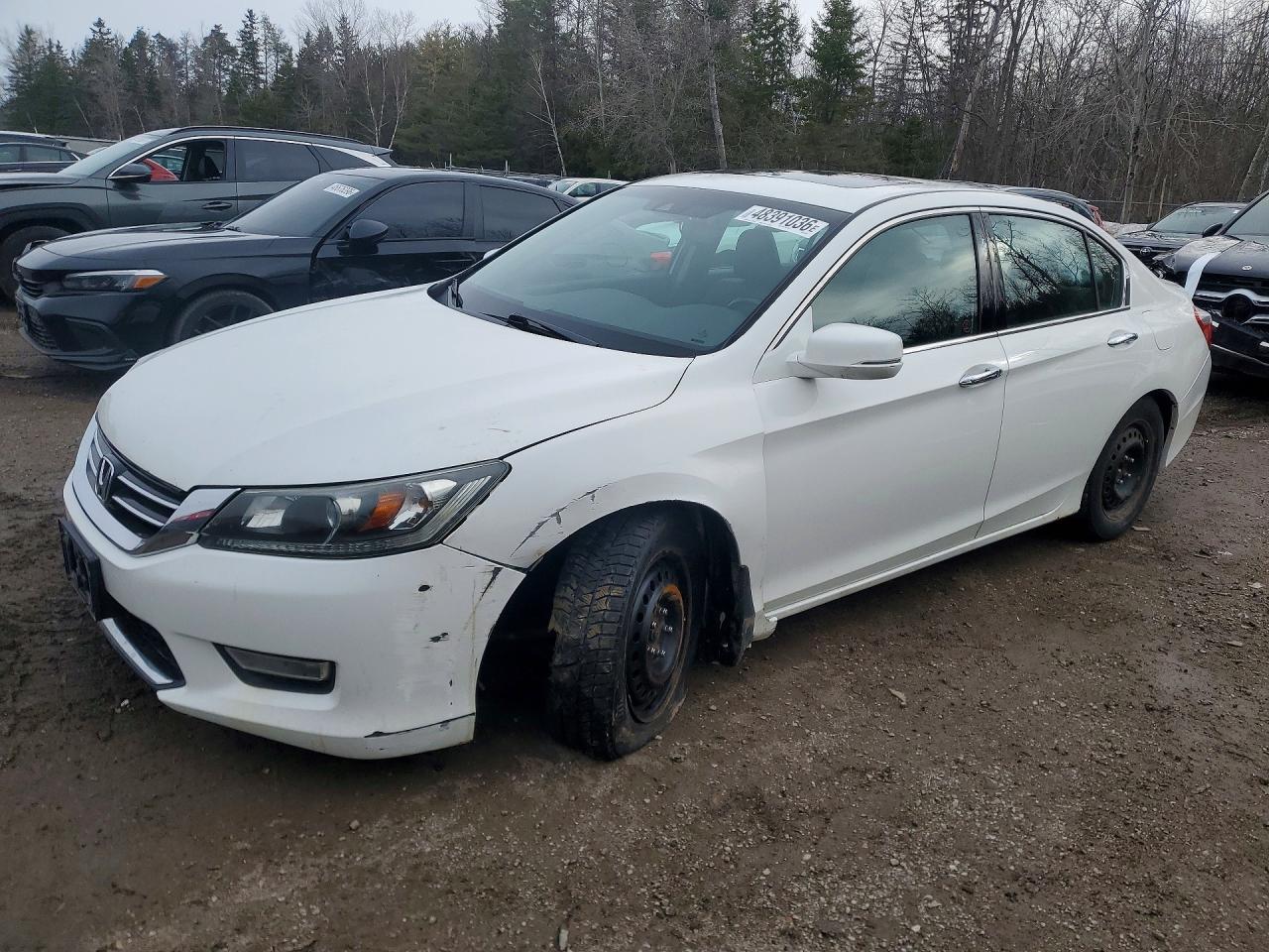 2013 Honda Accord Exl White vin: 1HGCR3F80DA801160