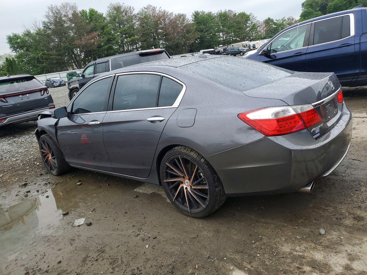 2013 Honda Accord Exl Gray vin: 1HGCR3F81DA015755