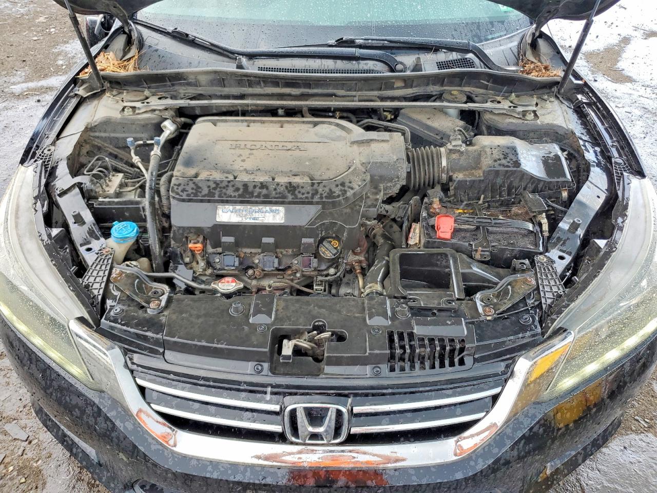 2013 Honda Accord Exl Black vin: 1HGCR3F81DA038808