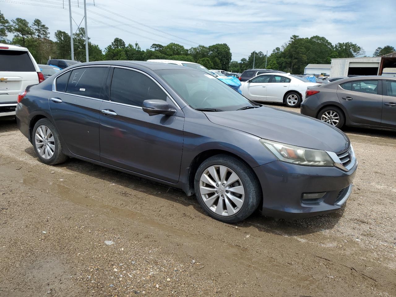 2014 Honda Accord Exl Gray vin: 1HGCR3F81EA014459