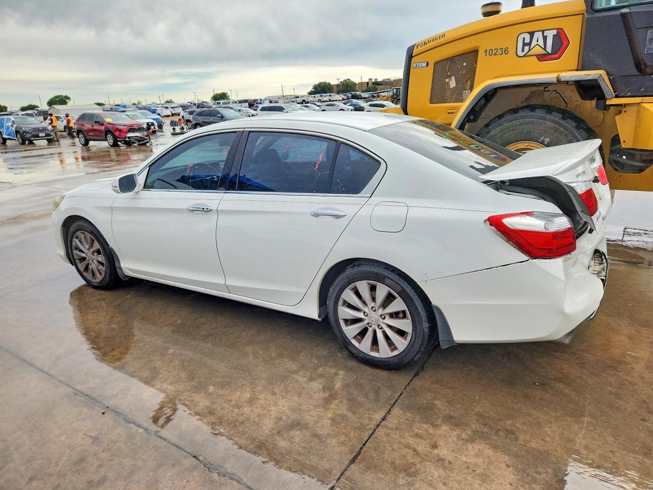 2013 Honda Accord Exl White vin: 1HGCR3F82DA024755