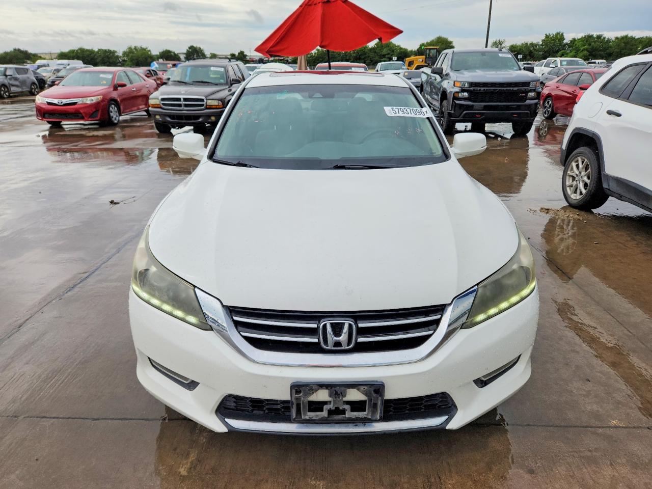 2013 Honda Accord Exl White vin: 1HGCR3F82DA024755