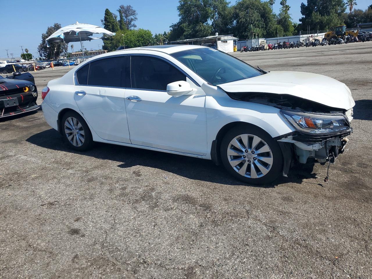 2013 Honda Accord Exl White vin: 1HGCR3F83DA025090